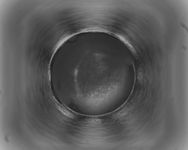 X0000097491372200802291421