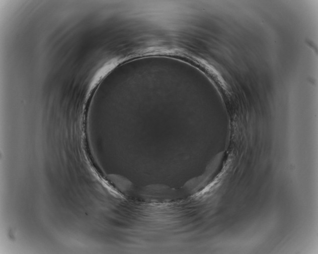 X0000097491373200802291421