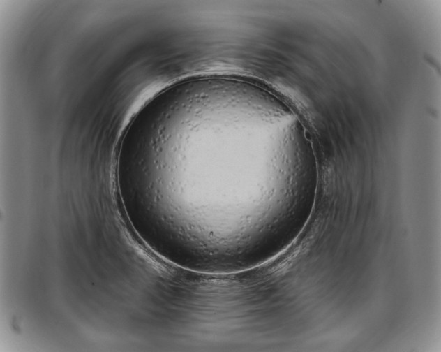 X0000097491374200802291421