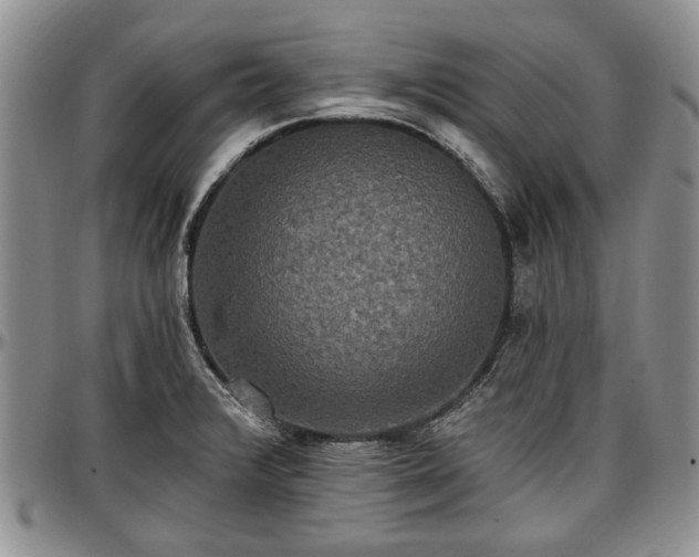 X0000097491376200802291421