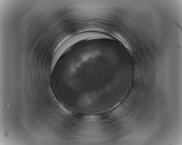 X0000097491377200802291421