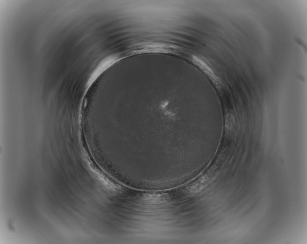 X0000097491378200802291421