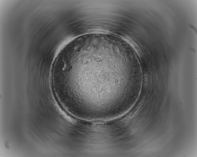 X0000097491379200802291421