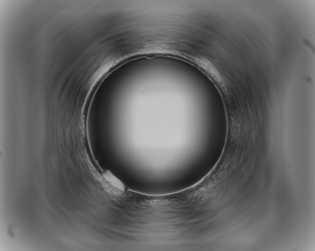 X0000097491380200802291421