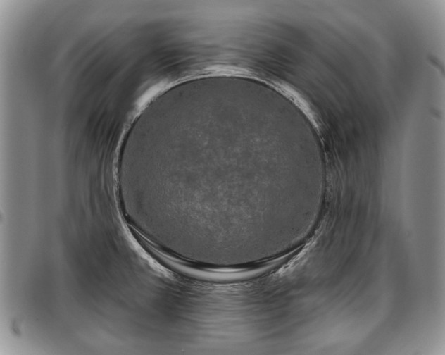 X0000097491381200802291421