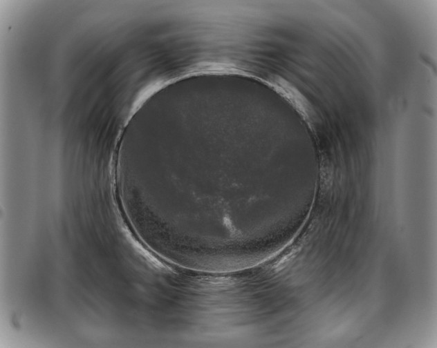 X0000097491382200802291421