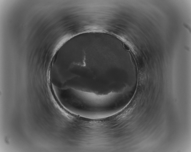 X0000097491383200802291421