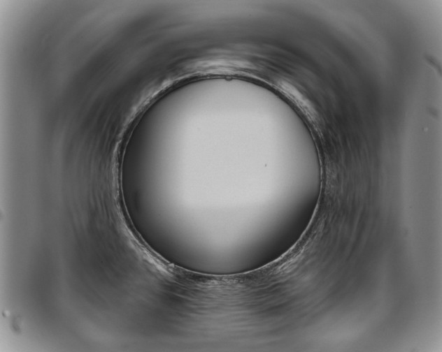 X0000097491384200802291421