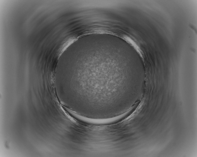 X0000097491385200802291421