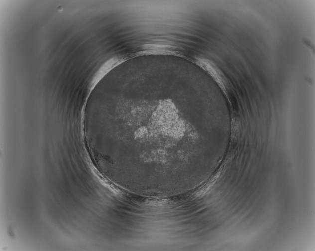 X0000097491386200802291421