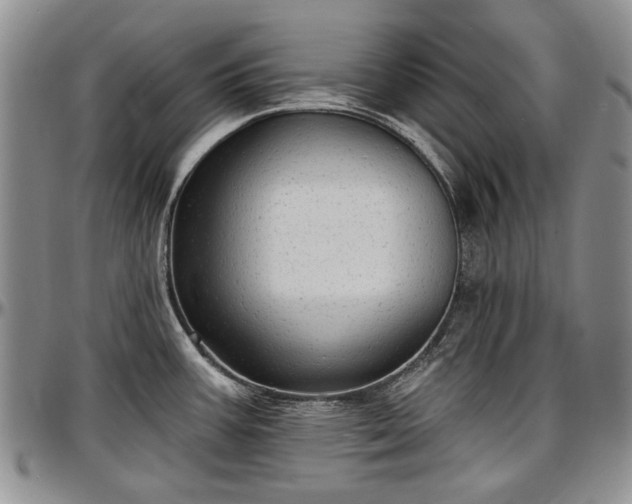 X0000097491387200802291421