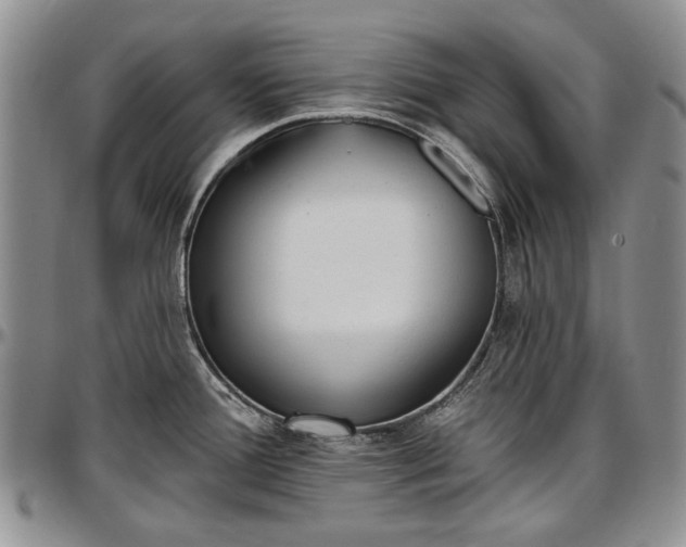 X0000097491388200802291421