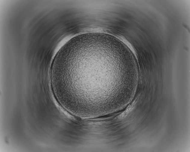 X0000097491389200802291421