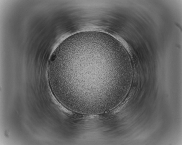 X0000097491390200802291421