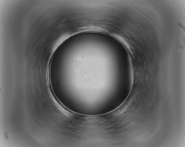 X0000097491391200802291421