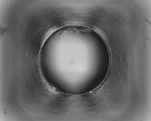 X0000097491392200802291421