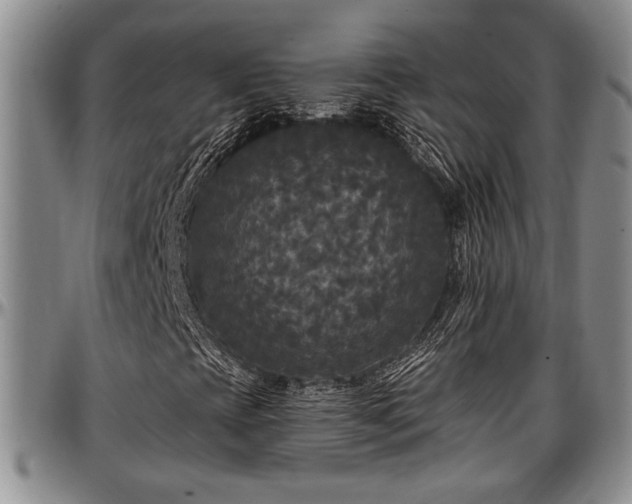 X0000097491393200802291420