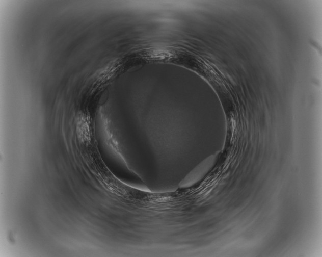 X0000097491394200802291420