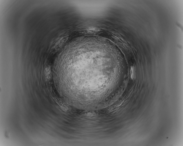 X0000097491395200802291420