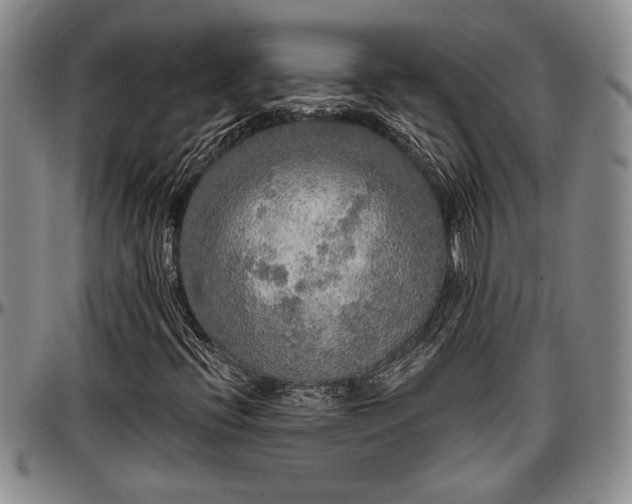 X0000097491396200802291420