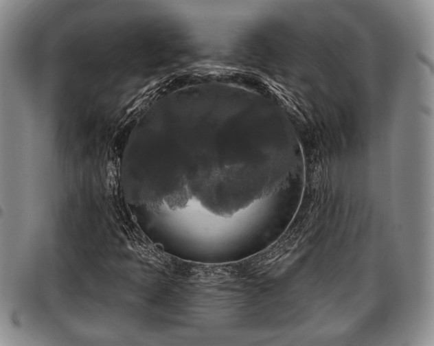 X0000097491397200802291420