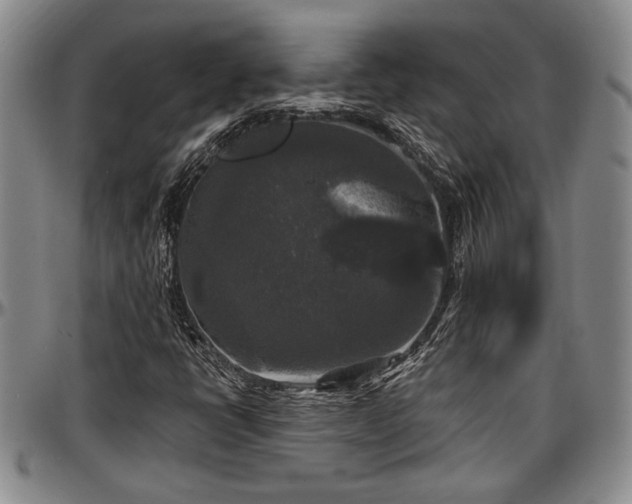 X0000097491398200802291420