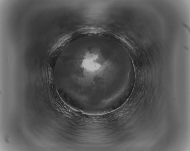 X0000097491399200802291420