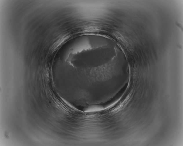 X0000097491401200802291420