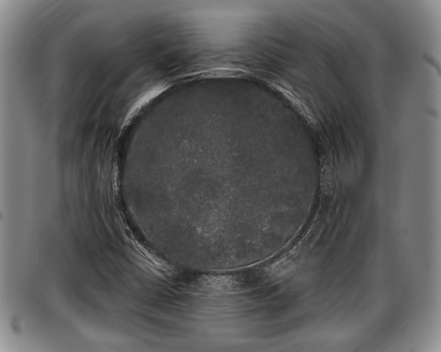 X0000097491402200802291420