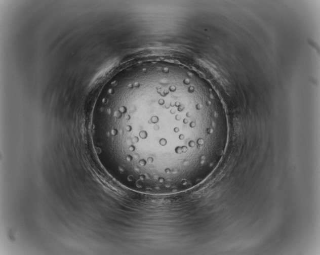 X0000097491403200802291420