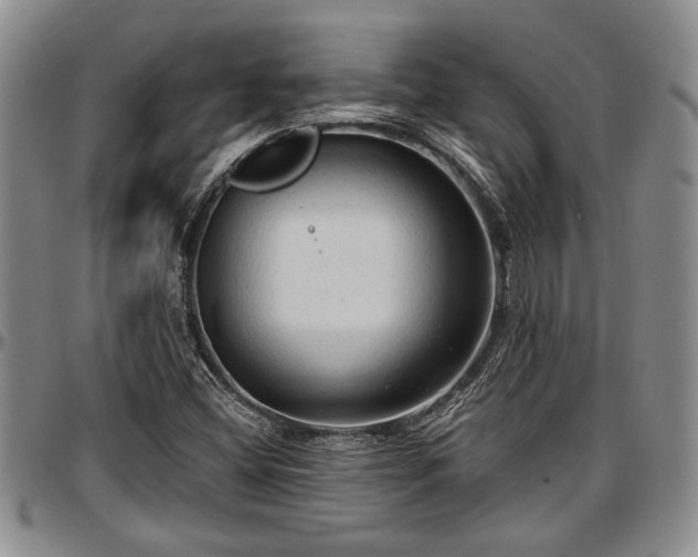 X0000097491404200802291420