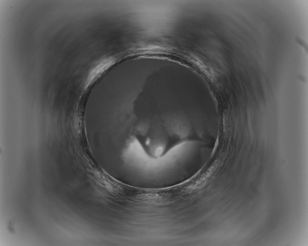 X0000097491405200802291420