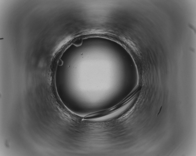 X0000097491406200802291420