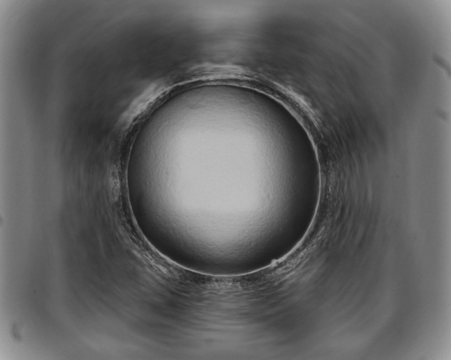 X0000097491407200802291420