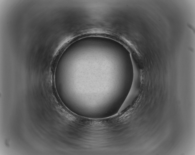 X0000097491408200802291420