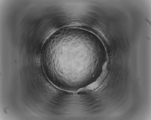 X0000097491409200802291420