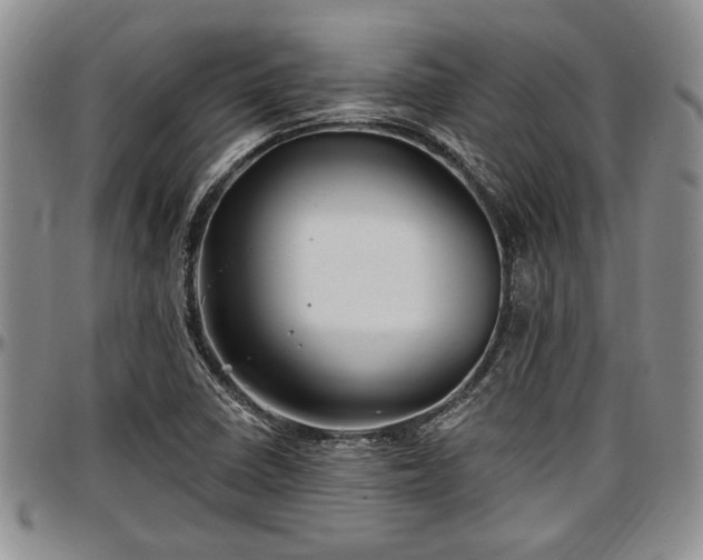 X0000097491410200802291420