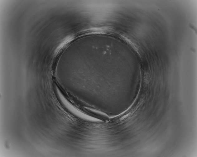 X0000097491411200802291420