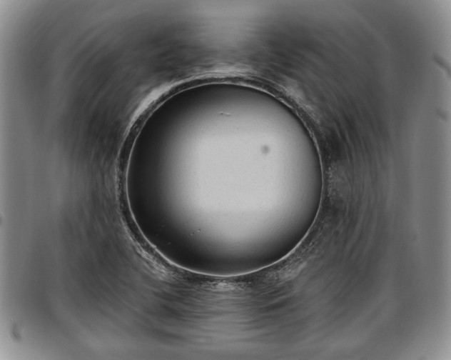 X0000097491412200802291420