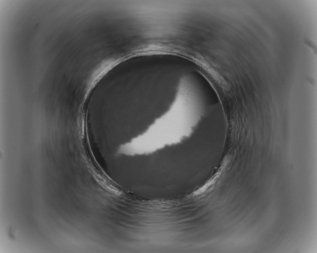 X0000097491413200802291420