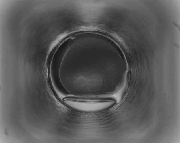 X0000097491414200802291420