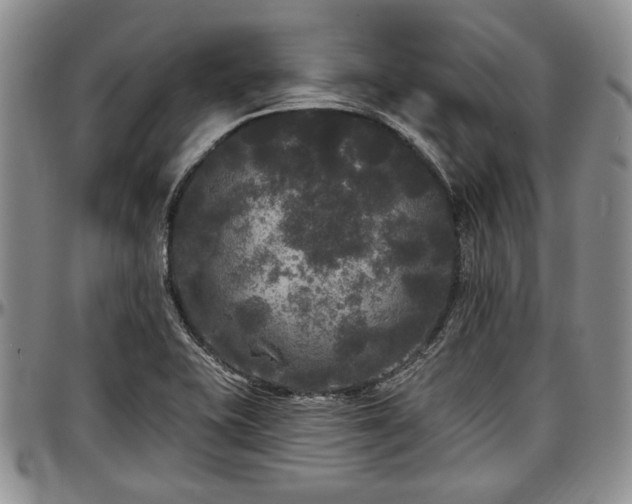 X0000097491415200802291420