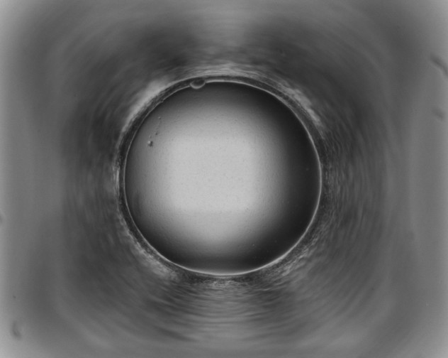 X0000097491416200802291420