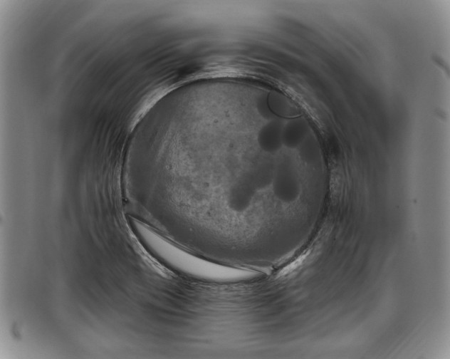 X0000097491417200802291420