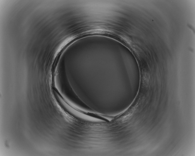 X0000097491418200802291421