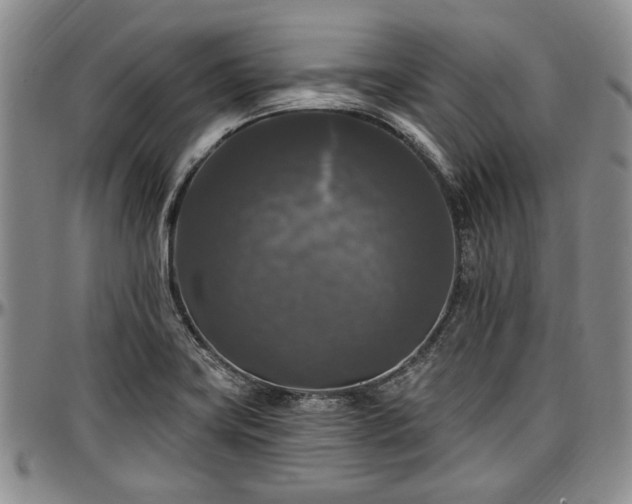 X0000097491419200802291421