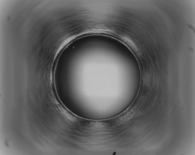 X0000097491420200802291421