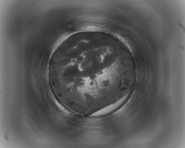 X0000097491421200802291421