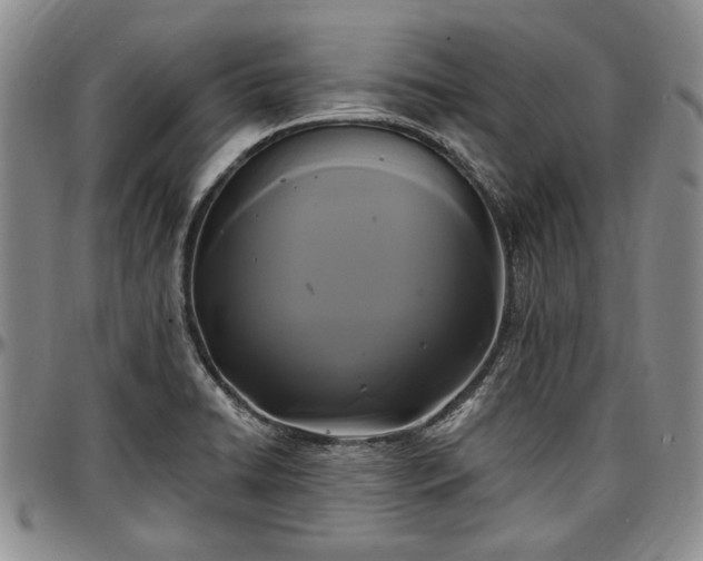 X0000097491422200802291421