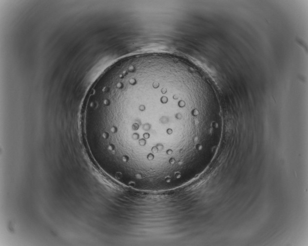 X0000097491423200802291421